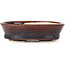 Pot à bonsaï ovale marron par Seto - 95 x 75 x 25 mm