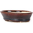 Pot à bonsaï ovale marron par Seto - 95 x 75 x 25 mm