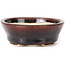 Oval brown bonsai pot by Seto - 95 x 75 x 25 mm