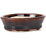 Oval brown bonsai pot by Seto - 95 x 75 x 25 mm