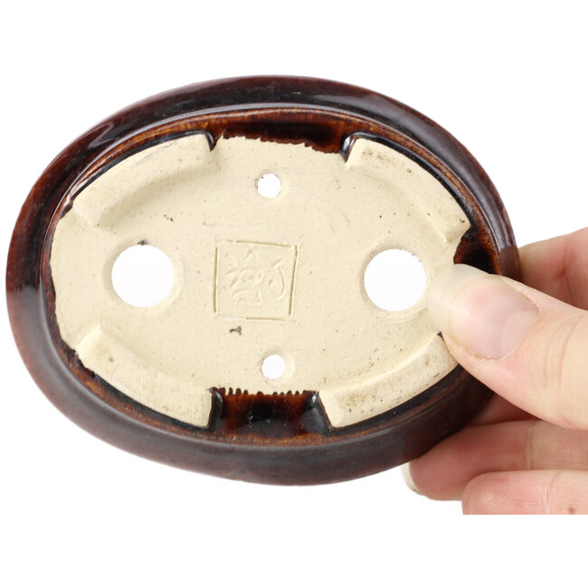 Pot à bonsaï ovale marron par Seto - 95 x 75 x 25 mm