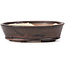 Oval brown bonsai pot by Seto - 100 x 85 x 30 mm