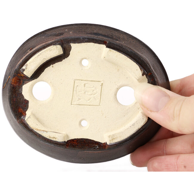 Pot à bonsaï ovale marron par Seto - 100 x 85 x 30 mm