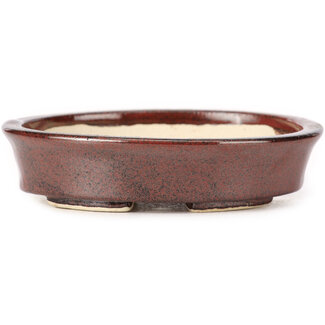 Seto 105 mm oval brown bonsai pot by Seto, Japan