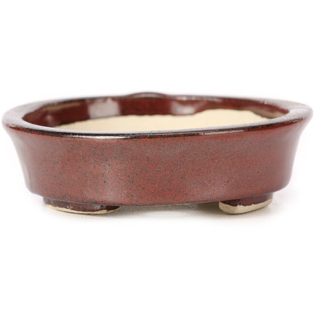 Ovale bruine bonsaipot van Seto - 105 x 85 x 25 mm