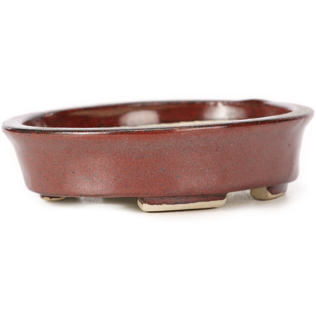 Ovale bruine bonsaipot van Seto - 105 x 85 x 25 mm