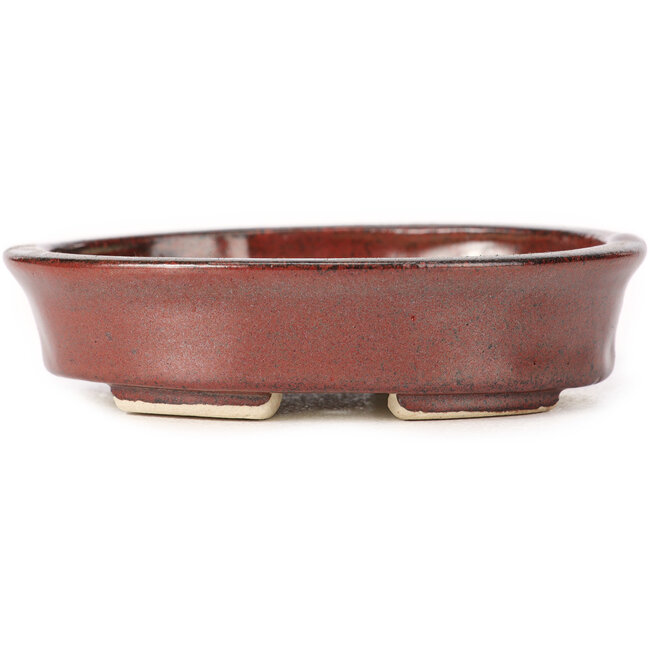 Maceta de bonsái marrón ovalada de Seto - 105 x 85 x 25 mm