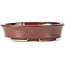 Oval brown bonsai pot by Seto - 105 x 85 x 25 mm