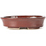 Vaso bonsai ovale marrone di Seto - 105 x 85 x 25 mm