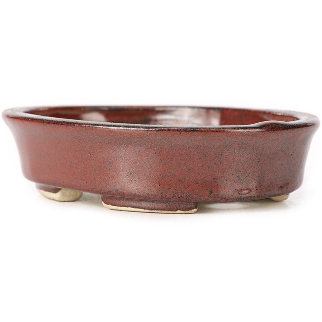 Pot à bonsaï ovale marron par Seto - 105 x 85 x 25 mm