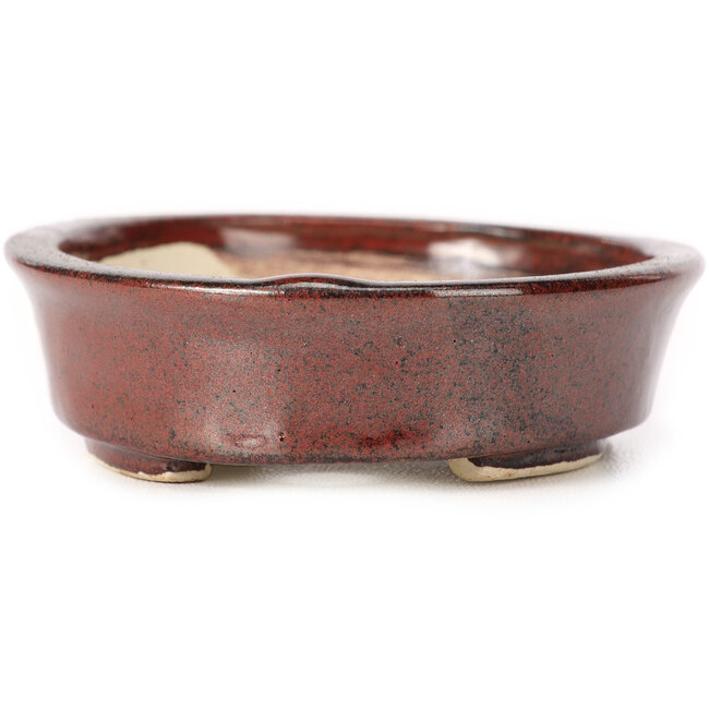 Oval brown bonsai pot by Seto - 105 x 85 x 25 mm