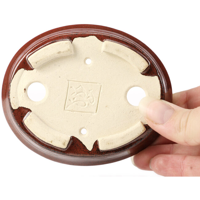 Pot à bonsaï ovale marron par Seto - 105 x 85 x 25 mm