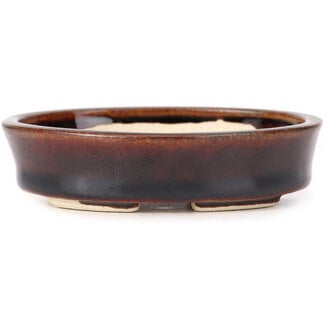 Seto 100 mm oval brown bonsai pot by Seto, Japan