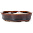 Pot à bonsaï ovale marron par Seto - 100 x 90 x 25 mm