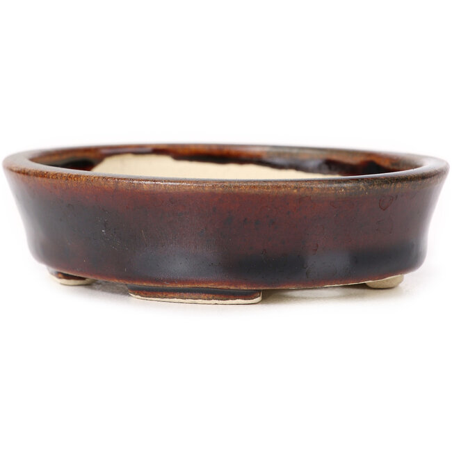 Maceta de bonsái marrón ovalada de Seto - 100 x 90 x 25 mm
