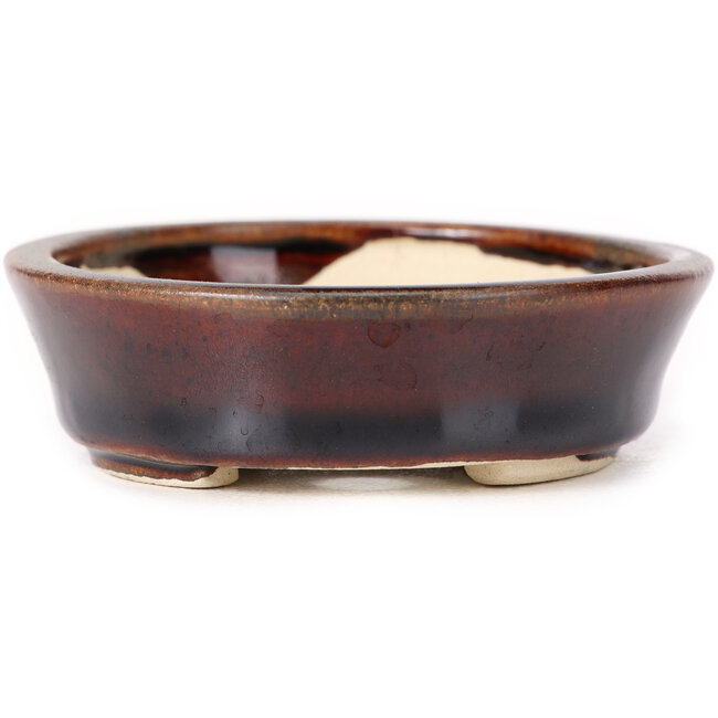 Maceta de bonsái marrón ovalada de Seto - 100 x 90 x 25 mm