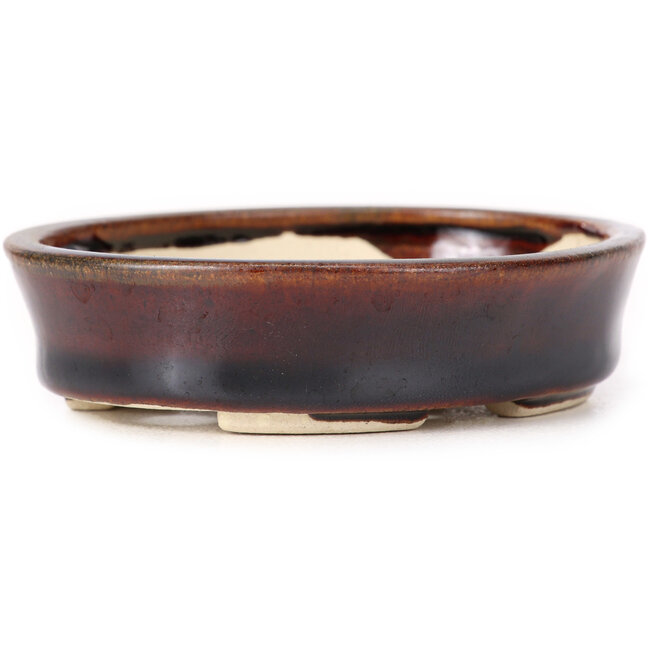 Pot à bonsaï ovale marron par Seto - 100 x 90 x 25 mm