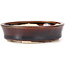 Pot à bonsaï ovale marron par Seto - 100 x 90 x 25 mm