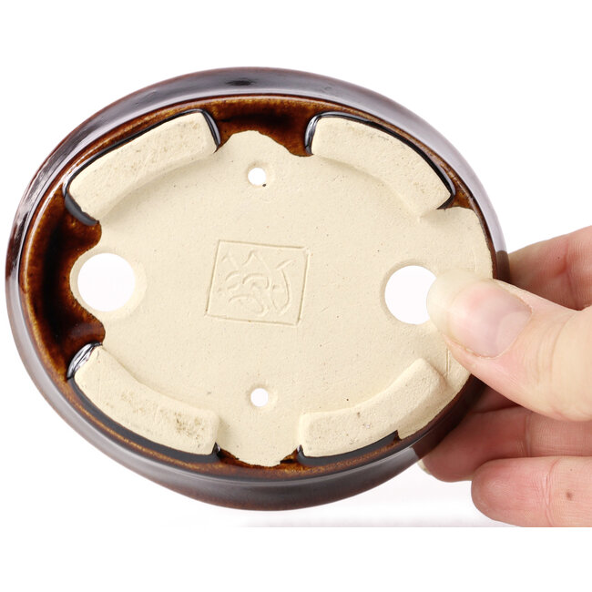 Maceta de bonsái marrón ovalada de Seto - 100 x 90 x 25 mm