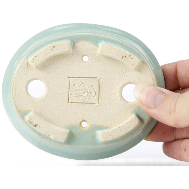 Maceta de bonsái azul ovalada de Seto - 105 x 90 x 20 mm