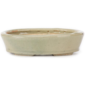 Seto 105 mm oval beige bonsai pot by Seto, Japan