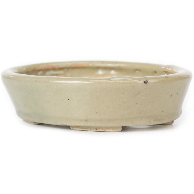 Ovale beige Bonsaischale von Seto - 105 x 85 x 25 mm