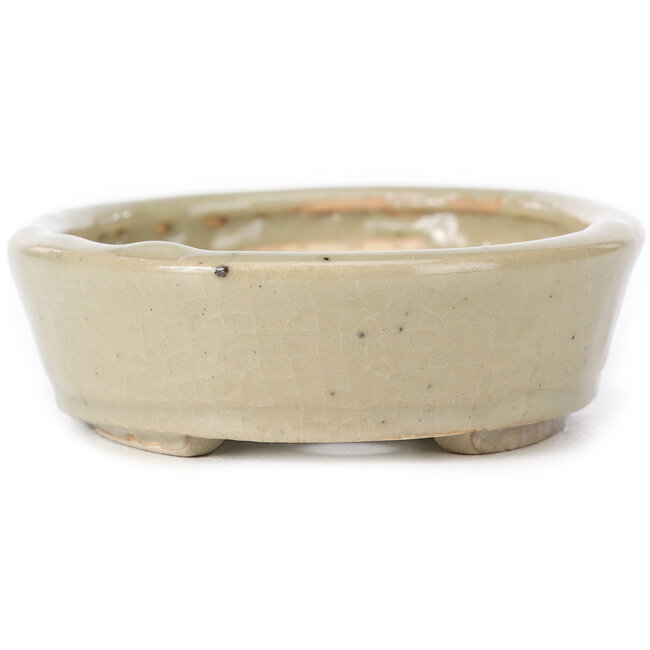 Maceta de bonsái beige ovalada de Seto - 105 x 85 x 25 mm