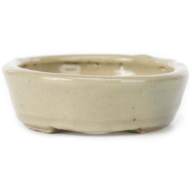 Vaso bonsai ovale beige di Seto - 105 x 85 x 25 mm
