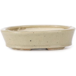 Seto 105 mm oval beige bonsai pot by Seto, Japan