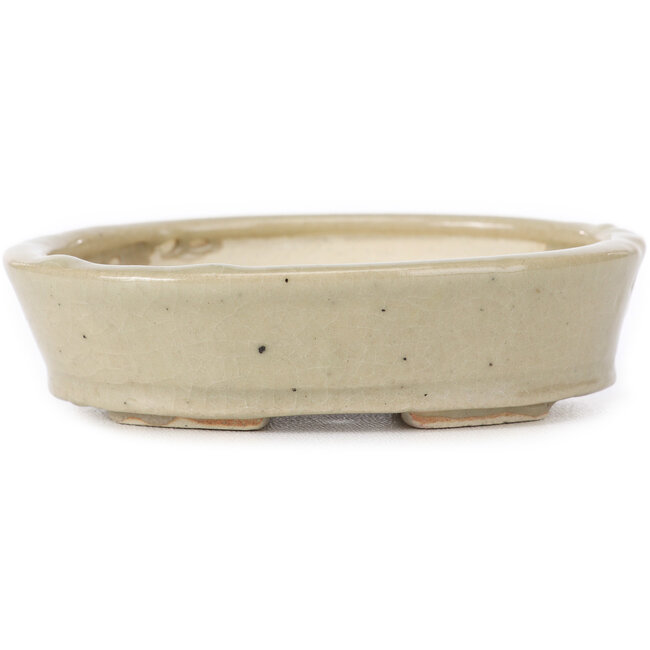 Pot à bonsaï ovale beige par Seto - 105 x 85 x 25 mm
