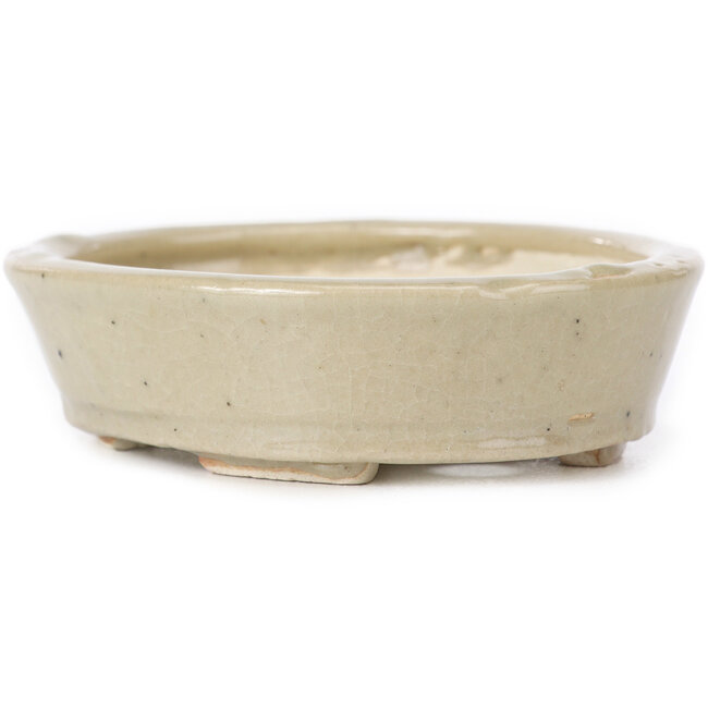 Pot à bonsaï ovale beige par Seto - 105 x 85 x 25 mm