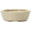 Pot à bonsaï ovale beige par Seto - 105 x 85 x 25 mm