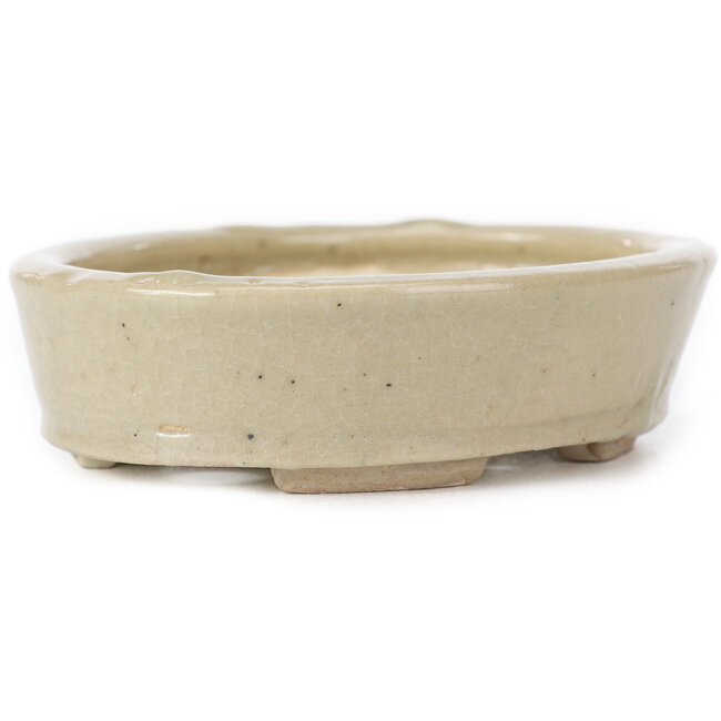 Oval beige bonsai pot by Seto - 105 x 85 x 25 mm
