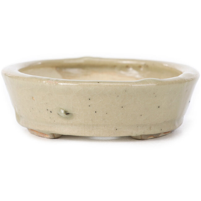 Pot à bonsaï ovale beige par Seto - 105 x 85 x 25 mm