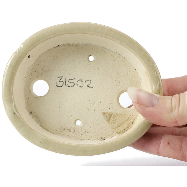 Maceta de bonsái beige ovalada de Seto - 105 x 85 x 25 mm