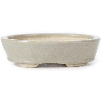 Seto 85 mm oval beige bonsai pot by Seto, Japan