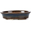 Pot à bonsaï ovale bleu par Seto - 105 x 85 x 25 mm