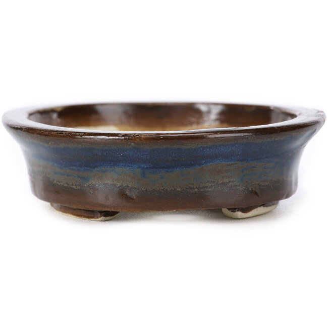 Maceta de bonsái azul ovalada de Seto - 105 x 85 x 25 mm