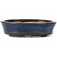 Pot à bonsaï ovale bleu par Seto - 105 x 85 x 25 mm
