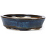 Pot à bonsaï ovale bleu par Seto - 105 x 85 x 25 mm