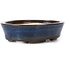 Pot à bonsaï ovale bleu par Seto - 105 x 85 x 25 mm