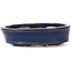 Pot à bonsaï ovale bleu par Seto - 105 x 85 x 25 mm