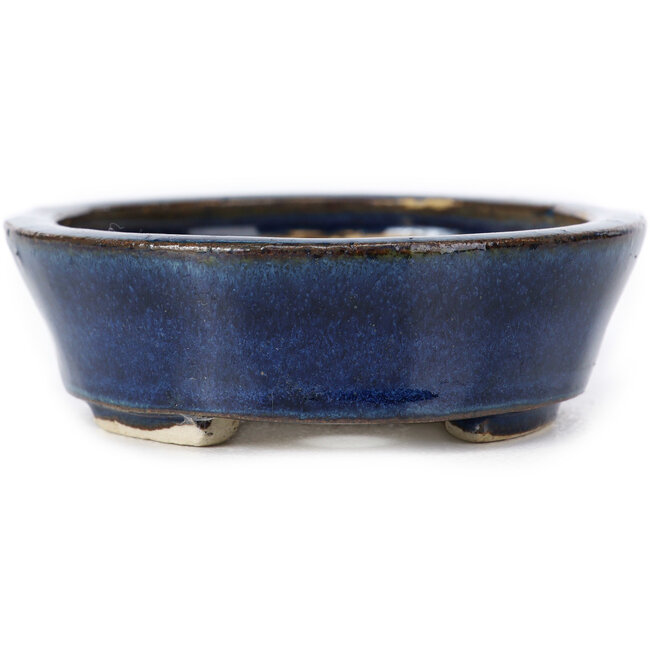 Maceta de bonsái azul ovalada de Seto - 105 x 85 x 25 mm