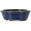 Pot à bonsaï ovale bleu par Seto - 105 x 85 x 25 mm
