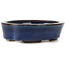 Oval blue bonsai pot by Seto - 105 x 85 x 25 mm