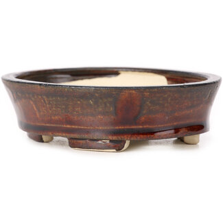 Seto 105 mm oval brown bonsai pot by Seto, Japan