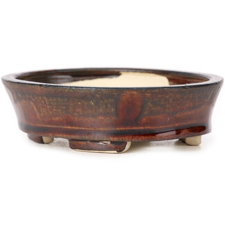 Seto Pot à bonsaï marron ovale 105 mm par Seto, Japon