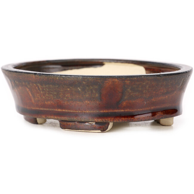 Maceta de bonsái marrón ovalada de Seto - 105 x 90 x 30 mm