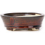 Oval brown bonsai pot by Seto - 105 x 90 x 30 mm