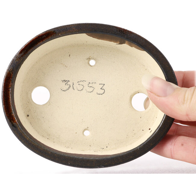 Vaso bonsai ovale marrone di Seto - 105 x 90 x 30 mm